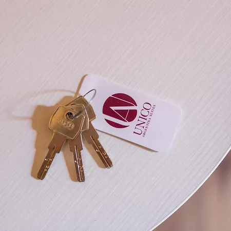 Magenta Luxury Argentina ゲストハウス